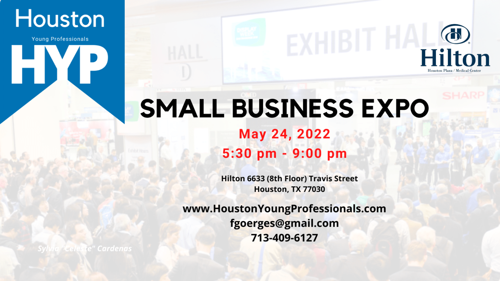 Houston Small Business Expo Houston Young Professionals