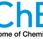 American Institute of Chemical Engineers (AIChE), South Texas
