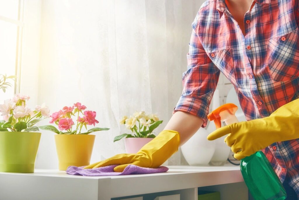 House Cleaning Services in Houston, The Essential Guide to Hiring a Residential or Commercial Cleaning Service: 10 Questions You Must Ask