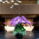 12 Best Boutique Hotels in Houston for an Unforgettable Staycation