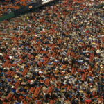 Houston Cultural Festivals Calendar: 2026 Highlights & Weekly Updates